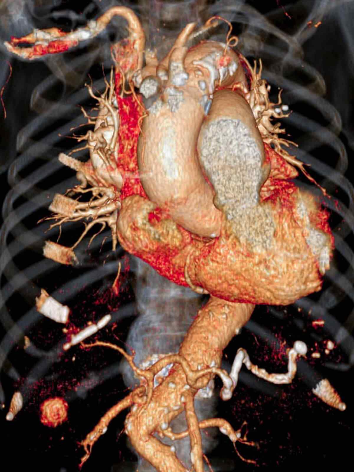 single_service_01 https://sunriserc.com/wp-content/uploads/2021/09/single_service_01.jpg